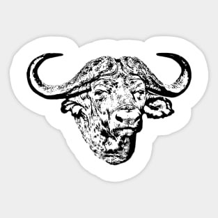 African buffalo Sticker